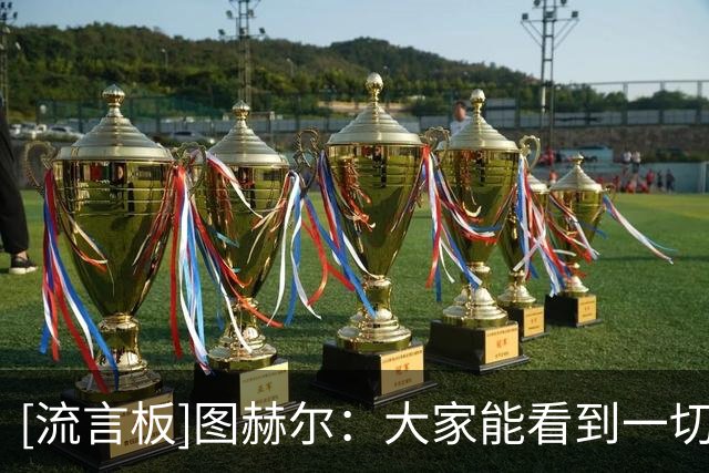 [流言板]图赫尔：大家能看到一切，英格兰有能力缩小与顶级球队差距